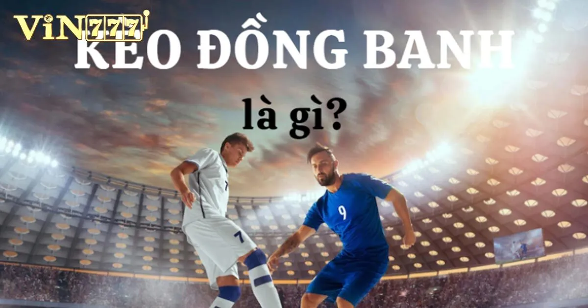 tim hieu ve keo dong banh